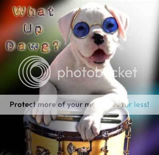 Dog Forecast 2010