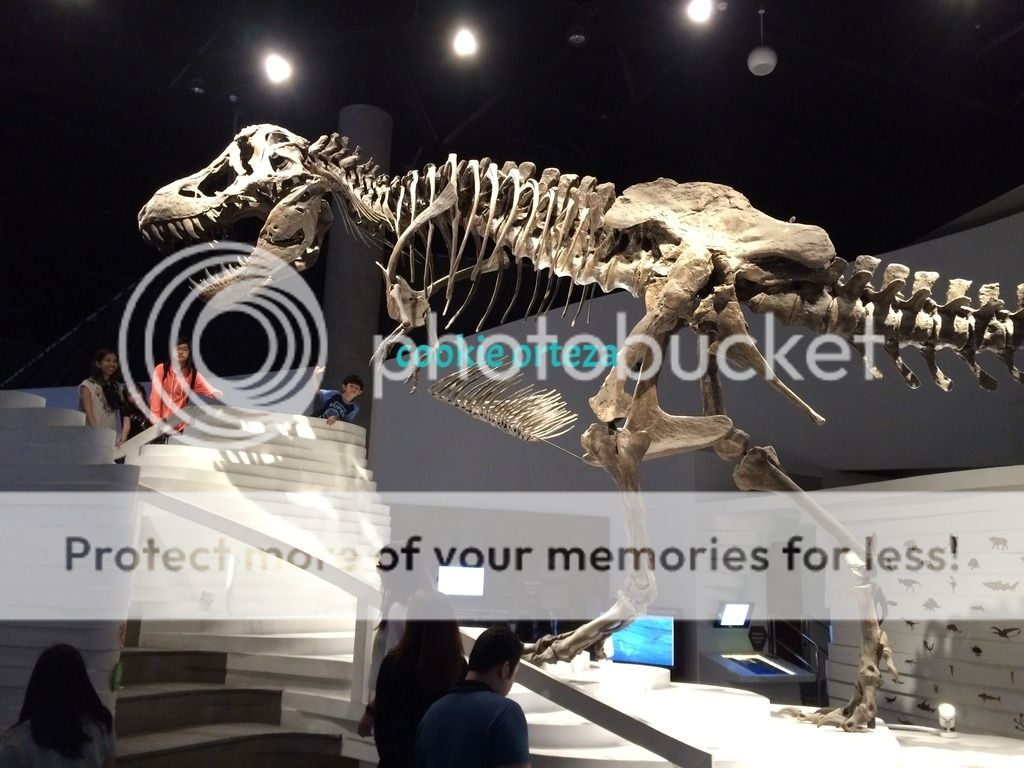 photo 223b97b8-59fb-427c-9c88-e6a6d0a74486_zpsdhxwhpwz.jpg