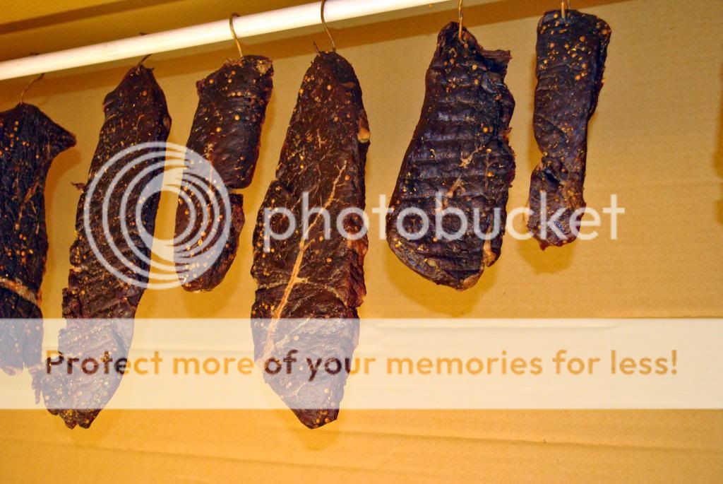 Cold Smoked Biltong (Jerky) Jerky (Perfected!) The BBQ BRETHREN FORUMS.