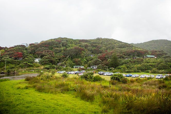 photo newzealand-018.jpg