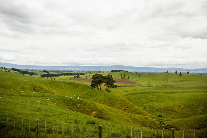 photo newzealand-075.jpg