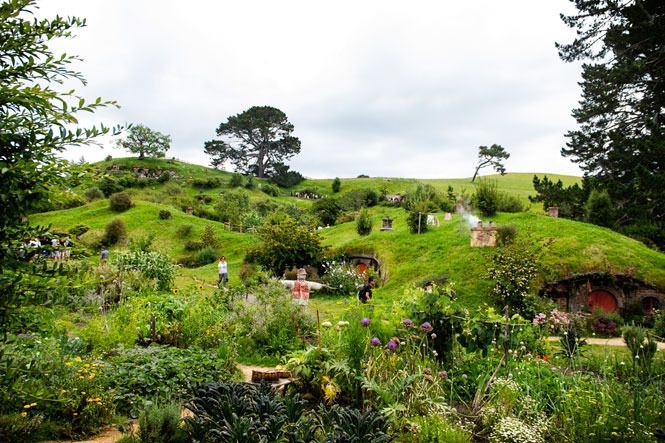 photo newzealand-084.jpg
