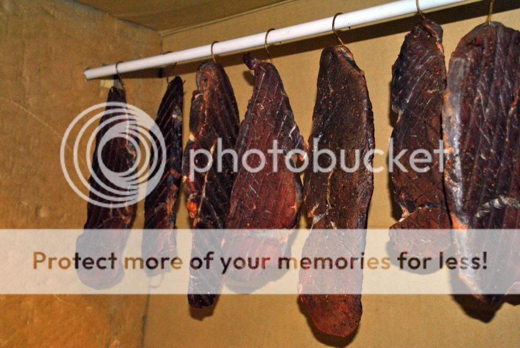 Cold Smoked Biltong (Jerky) Jerky (Perfected!) The BBQ BRETHREN FORUMS.
